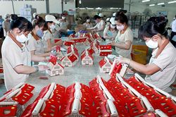 Doanh nghiệp gỗ tìm phương án thích ứng tình hình mới