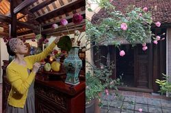 Không gian sống tinh tế ở Tây Hồ của NSND Lê Khanh