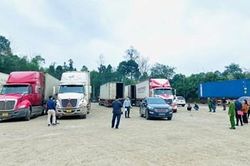 Phê chuẩn khởi tố thêm cán bộ Hải quan, nguyên cán bộ Công an vụ bán 'lốt' 300 triệu đồng