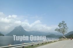 138/138 xã, phường, thị trấn trên địa bàn tỉnh đều là vùng xanh