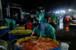 Hà Nội: Chợ Yên Sở đỏ rực cá chép trước ngày tiễn ông Công ông Táo về trời