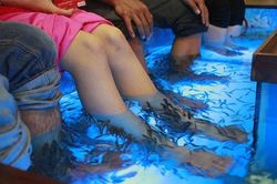 'Quá đã' với cà phê cá massage