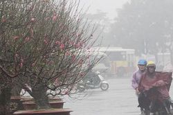 Khẩn trương ứng phó với dông lốc, mưa dịp Tết Nguyên đán này