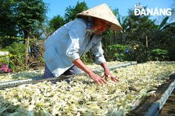 Nhớ Tết xưa