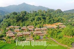 Xanh thắm những miền quê