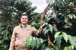 Ðiểu Hòa - người cán bộ nông dân nhiệt huyết