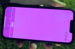 Một số mẫu iPhone 13 gặp lỗi màn hình màu hồng