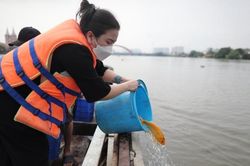 Rộn ràng thả cá phóng sanh tiễn ông Công, ông Táo về trời
