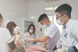 Nghệ An: Nam sinh lớp 11 bỏng toàn thân nghi do pháo hoa