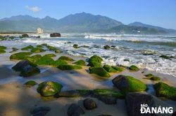 Đà Nẵng: Vẻ đẹp hoang sơ giữa biển trời Nam Ô