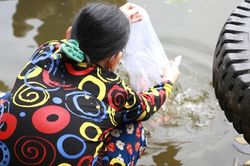 Người dân Sài Gòn đến chùa cầu an, thả cá ngày tiễn ông Công, ông Táo