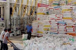 Xuất cấp gạo cho các địa phương dịp Tết Nguyên đán và giáp hạt đầu năm 2022
