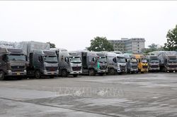 Hỗ trợ lái xe chở hàng đường dài đón Tết tại Cửa khẩu Lào Cai