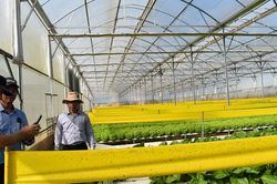 Đa dạng công nghệ cho cây trồng