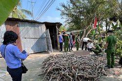 Nam thanh niên sát hại mẹ dã man vì bị la mắng