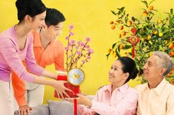 Thư gửi robot Citizen: Lời thì thầm của mùa Xuân