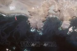 Lại xảy ra tràn dầu ở bờ biển Peru