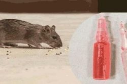 Cận Tết lại tăng nhiều ca ngộ độc vì uống nhầm... thuốc chuột