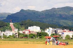 Hướng tới phát triển nông nghiệp công nghệ cao