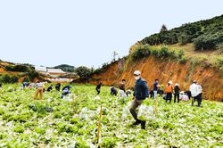 Phát huy tinh thần đại đoàn kết dân tộc trong công tác dân tộc, tôn giáo