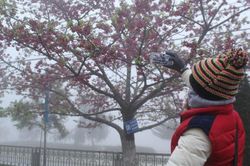 Bắc Bộ sắp đón đợt rét đậm nhất năm, có nơi dưới 3 độ C