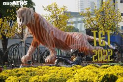 Ngắm linh vật hổ tại đường hoa Nguyễn Huệ