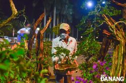 Đêm cuối năm ở chợ hoa Tết