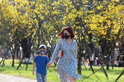 Đời sống Đời sống Dừng chân bên đường hoàng mai