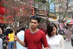 Hà Nội chơi đào Tết