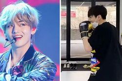 BTS: V 'mê mẩn' clip boxing của Jungkook giờ còn muốn so găng