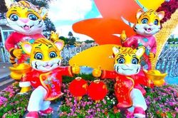 Linh vật hổ 'xuống phố' đón Tết tại Tây Nguyên