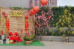 Muôn kiểu chuẩn bị Tết ở TP.HCM
