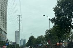 Các giải pháp nào để hạn chế vi phạm, tai nạn giao thông dịp Tết?