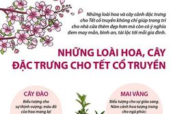 Những loài hoa, cây đặc trưng cho Tết cổ truyền