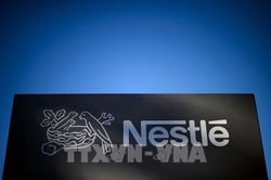 Nestle chung tay loại bỏ tình trạng sử dụng lao động trẻ em