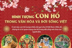 Hình tượng con hổ trong văn hóa và đời sống Việt