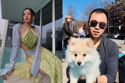 Động thái bất ngờ của Chi Pu giữa tin đồn mang thai và 'về chung nhà' với thiếu gia nghìn tỷ