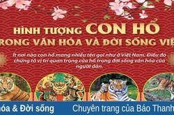 Hình tượng con hổ trong văn hóa và đời sống Việt