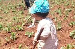 Đưa con trai 3 tuổi về nhà bà nội ít hôm, người mẹ sốc nặng khi thấy ngoại hình có 1-0-2 của con khi đón về