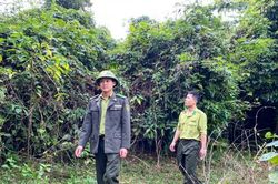 Tết của những người giữ rừng