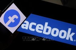 Tòa án Áo yêu cầu Facebook xóa nội dung phỉ báng