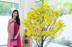 Sau loạt sóng gió, Thủy Tiên lên đồ rực rỡ, check-in tại nơi được cho là cơ ngơi mới của hai vợ chồng