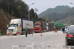 Trên 100 xe nông sản thông quan những ngày đầu năm