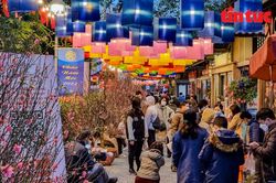 Phố sách Hà Nội lung linh trong đêm