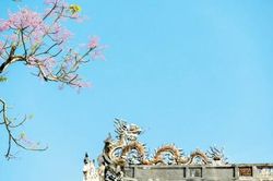 Chính trị - Xã hội Chính trị - Xã hội Phát triển xanh, tăng trưởng xanh