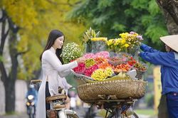 Người Hà Nội có gì lạ mà bàn luận nhiều đến thế?