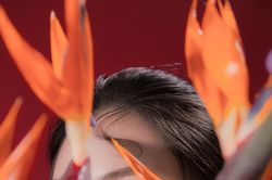 Mang 'Khởi sắc' đến với năm Nhâm Dần, nữ sinh Điện lực gây 'xao xuyến' cộng đồng mạng