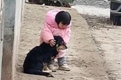 Bé gái lấy tay bịt tai chó cưng khi tiếng pháo hoa nổ vang trời