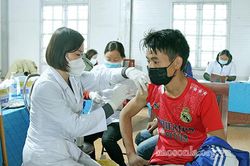 Sẵn sàng cho chiến dịch tiêm chủng mùa xuân