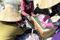 Kinh tế Kinh tế Trúng biển đầu năm